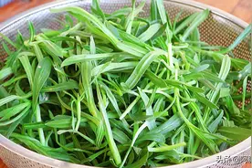 为什么河南人爱吃蒸菜？原因很简单，蒸菜好处太多了，才知道图片