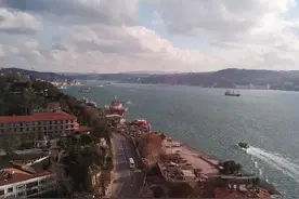 伊斯坦布尔为什么有那么多猫？《伊斯坦布尔：一座城市的记忆》图片