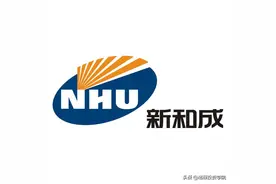 新和成投资分析-维生素茅图片