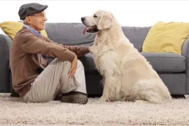 狗子就是如此向你表白的，若是你麻木不仁，就辜负了它的一片狗心图片