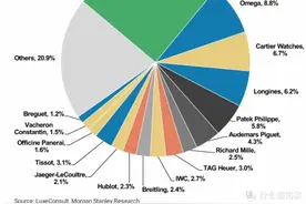 劳力士绿水鬼溢价只能排在第十！｜我来给你盘盘最新劳行情图片
