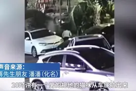 浙江宁波一男子多次摔打踩踏猫致死#，猫主人考虑对方有孩子选择谅解图片