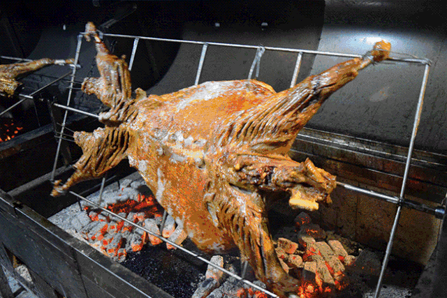 花胶可以煲羊肉吗 2026年花胶可以炖羊肉吗