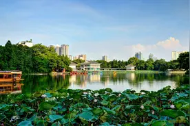 广州三大人口高密度城区，越秀区面积很小，海珠区常住人口很多图片