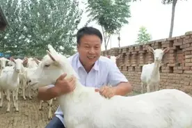 科研路上 | 曹斌云：“羊”帆起航 一生只为一事来图片