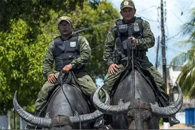 32张有趣的图片告诉你，巴西是多么“与众不同”的国家图片