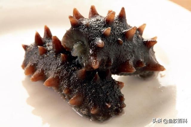 莲子百合阿胶炖花胶 2026年莲子百合阿胶炖花胶的做法