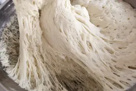 教你秋天发面，掌握这1点，快速发满一大盆，蒸的馒头又白又暄软图片