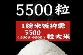 【倡 议】一碗米饭的诞生记图片