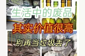你随手丢的垃圾，也许是很有价值的东西，可惜识货的人不多图片