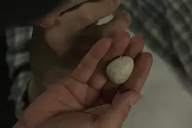 《入殓师》：一次难得的死亡教育，一场浪漫的人生告白图片