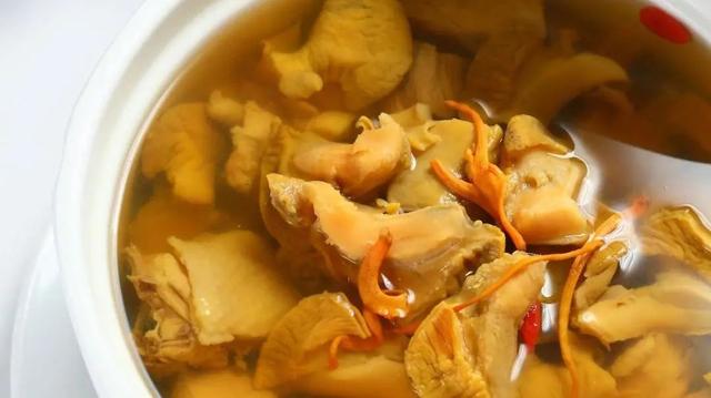 花胶响螺片猪肚煲鸡汤 2026年花胶响螺猪骨汤的功效