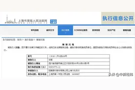 贾跃亭回国尚无归期 甘薇又被法院限制出境图片