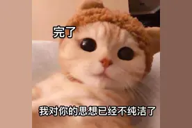 表情包：踮起脚尖看着你图片