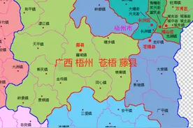广西梧州苍梧9镇、蒙山9镇、藤县17镇人口、土地、工业…基本统计图片
