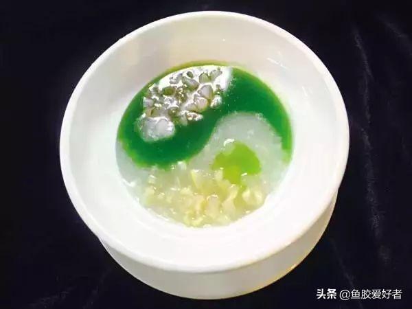 海底椰花胶汤的做法与功效与作用 2026年海底椰花胶汤的做法与功效与作
