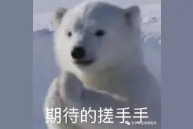 抖音蓝v认证后能割到的一大波好处~你还在犹豫什么？图片
