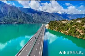 世界上最大的仓鼠迷宫图片