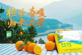 全民拼单，助力湖北！我们的“橙”意你感受到了吗？图片