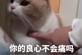 广东男童天冷衣服单薄、无家长接送，同学家长发现异常，原来是被继母虐待图片