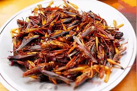 女子耳朵内惊现蜈蚣！半夜被痛醒，到底它的毒性有多强？图片