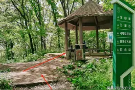 南京徒步线路推荐：老山东线攻略（林场站至老山森林公园）图片