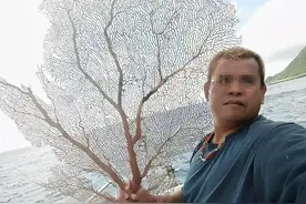 价值上百万！台湾渔民意外钓获红珊瑚，谁知竟受国家一级保护图片