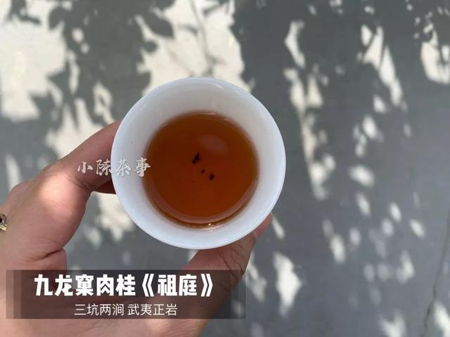 茶具六君子用法图解（茶道六君子）