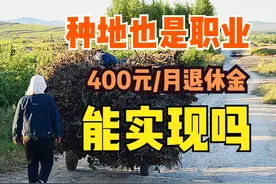 农民种地也是一种职业，网传65岁每月可领400元退休金，是真的吗图片