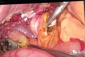 【真情对话】如果你信任我，我一定不会让你失望图片