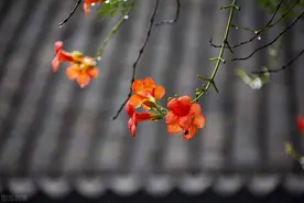 用心爱过的你，一生难忘，虽然不再打扰你，但我永远牵挂着你图片