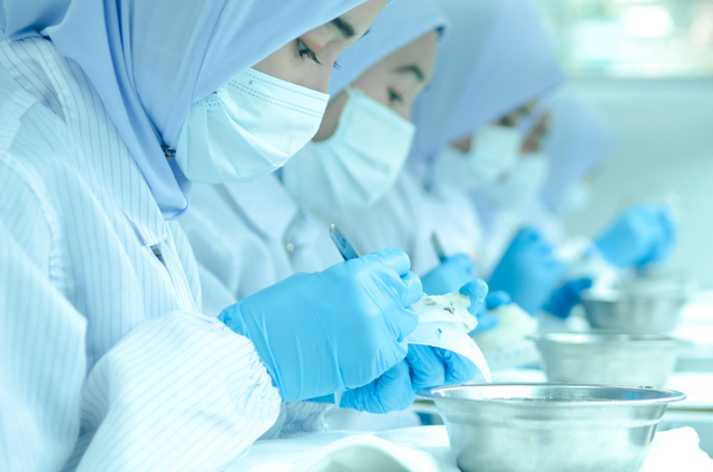 花胶炖燕窝牛奶 2026年花胶炖燕窝牛奶的功效