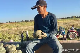 90后舍弃城市工作反哺农村，帮助乡亲们售出板栗南瓜160吨+图片