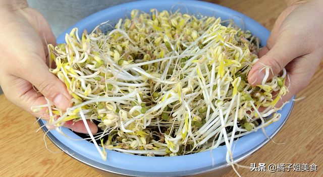 绿豆发芽的全部过程（生豆芽的方法方法详细讲解）