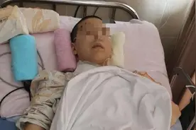 东方快评丨“女研究生蹦床摔成瘫痪”的双重反思图片