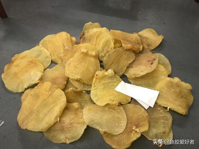 赤鱼胶是什么鱼的胶 2026年赤鱼胶的营养价值及功效