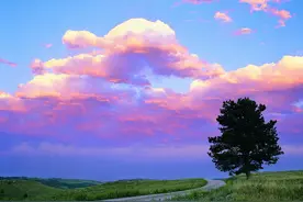 关于驾校那些不得不说的事图片