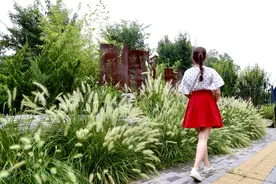 丰台区马家堡街道老旧小区改造以“新”换“心”图片