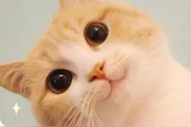 歪果仁的中文名 VS 你的英文名，到底谁更“威风”？图片