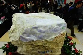 由于部分表面石皮被磕掉，原估价300万的石头主人瞬间有了底气图片