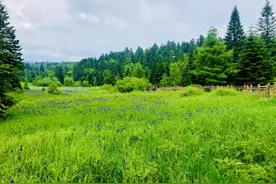 长白山的守护者周海城：这座大山是我的故土，也是我的精彩图片