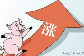 明日猪价早知道:11月24号猪价12涨3跌，一头猪多赚25元图片