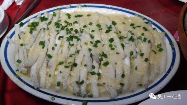 吴川有花胶吗 2026年吴川市花 吴川有花胶吗 2026年吴川市花