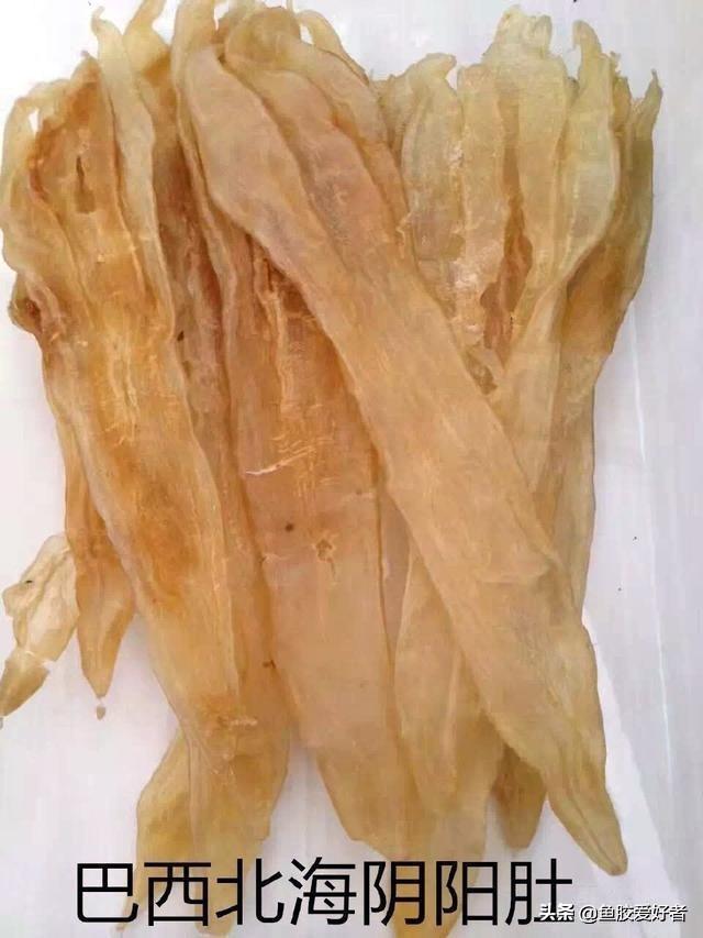 不同的花胶价格一样吗 不同的花胶价格一样吗为什么