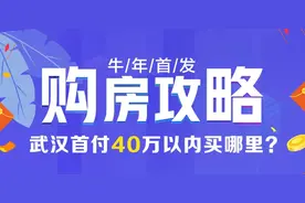 最新统计！首付40万以内，想在武汉买房，这12个楼盘可选图片