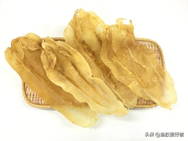 15只一斤的花胶买3000贵吗 2026年一斤重的花胶价钱是多少