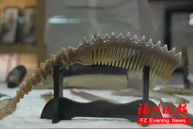 用一根牛角拿下大奖！福州这个生意人，更像匠人图片