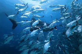 太原有自己的海洋公园啦图片