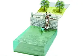 女子坠湖！外卖小哥、退伍军人接力施救图片