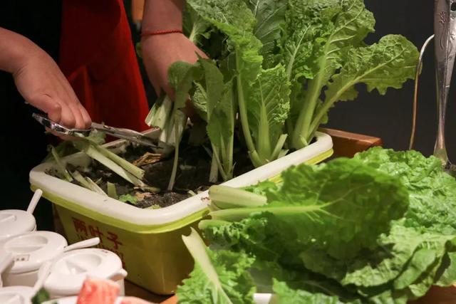 关于花胶鸡汤的说说 2025年关于花胶鸡汤的说说文案